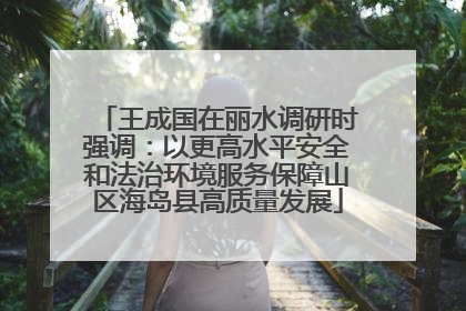 王成国在丽水调研时强调：以更高水平安全和法治环境服务保障山区海岛县高质量发展
