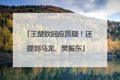 王楚钦回应质疑！还提到马龙、樊振东
