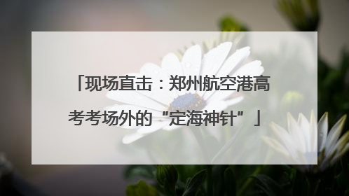 现场直击：郑州航空港高考考场外的“定海神针”