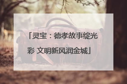 灵宝：德孝故事绽光彩 文明新风润金城