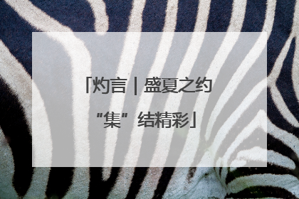 灼言｜盛夏之约 “集”结精彩