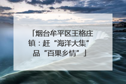 烟台牟平区王格庄镇：赶“海洋大集” 品“百果乡情”