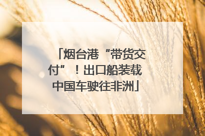 烟台港“带货交付”！出口船装载中国车驶往非洲