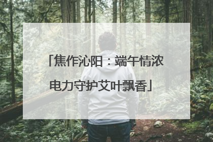 焦作沁阳：端午情浓 电力守护艾叶飘香