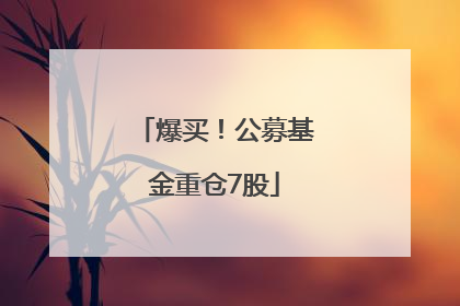 爆买！公募基金重仓7股