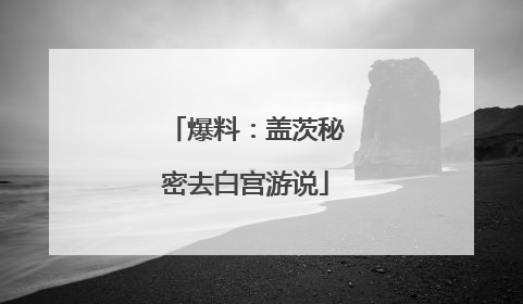爆料：盖茨秘密去白宫游说