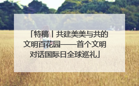特稿丨共建美美与共的文明百花园——首个文明对话国际日全球巡礼