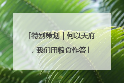 特别策划｜何以天府，我们用粮食作答
