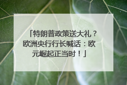特朗普政策送大礼？欧洲央行行长喊话：欧元崛起正当时！