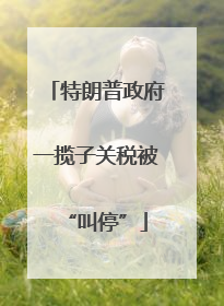 特朗普政府一揽子关税被“叫停”