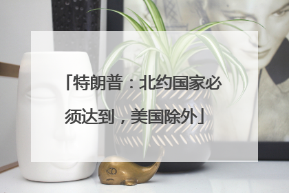 特朗普：北约国家必须达到，美国除外