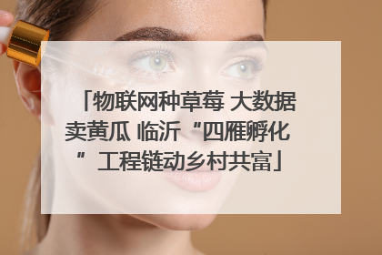 物联网种草莓 大数据卖黄瓜 临沂“四雁孵化”工程链动乡村共富