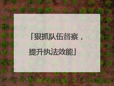 狠抓队伍督察，提升执法效能