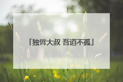 独臂大叔 吾道不孤