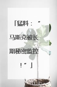 猛料：“马斯克被长期秘密监控！”