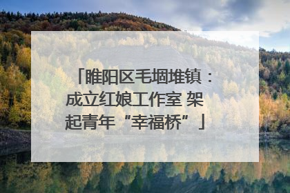睢阳区毛堌堆镇：成立红娘工作室 架起青年“幸福桥”