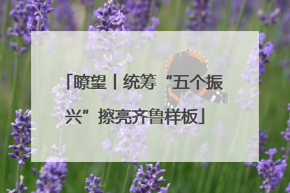 瞭望丨统筹“五个振兴”擦亮齐鲁样板