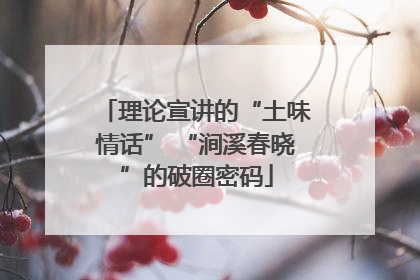 理论宣讲的“土味情话” “涧溪春晓”的破圈密码