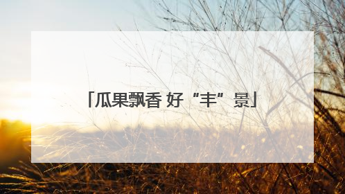 瓜果飘香 好“丰”景