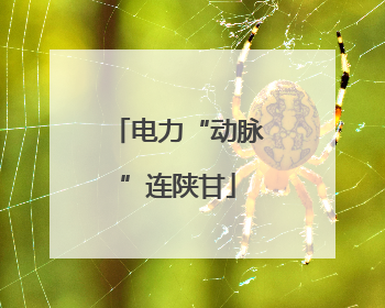 电力“动脉”连陕甘