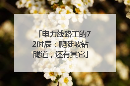 电力线路工的72时辰：爬陡坡钻隧道，还有其它
