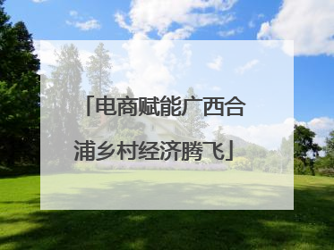 电商赋能广西合浦乡村经济腾飞