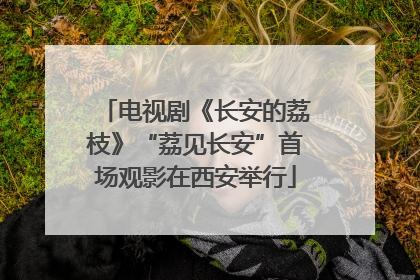 电视剧《长安的荔枝》“荔见长安”首场观影在西安举行