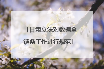 甘肃立法对数据全链条工作进行规范