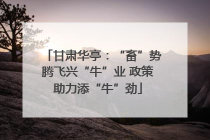 甘肃华亭：“畜”势腾飞兴“牛”业 政策助力添“牛”劲
