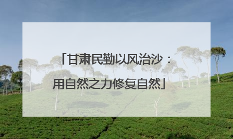 甘肃民勤以风治沙：用自然之力修复自然
