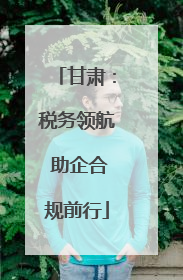 甘肃：税务领航 助企合规前行