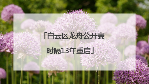 白云区龙舟公开赛时隔13年重启