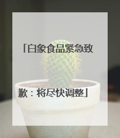 白象食品紧急致歉：将尽快调整