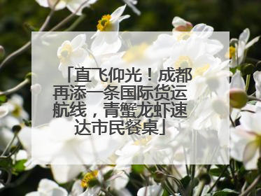 直飞仰光！成都再添一条国际货运航线，青蟹龙虾速达市民餐桌