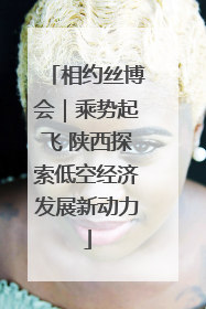 相约丝博会｜乘势起飞 陕西探索低空经济发展新动力