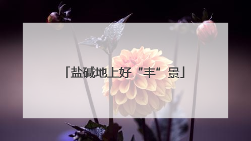 盐碱地上好“丰”景