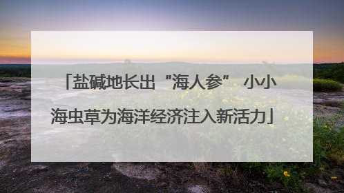 盐碱地长出“海人参” 小小海虫草为海洋经济注入新活力
