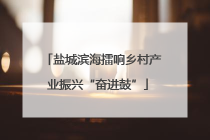 盐城滨海擂响乡村产业振兴“奋进鼓”