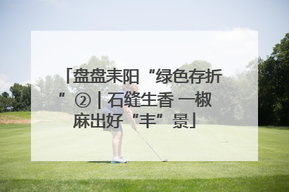 盘盘耒阳“绿色存折”②｜石缝生香 一椒麻出好“丰”景