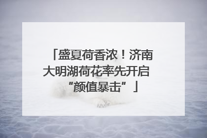 盛夏荷香浓！济南大明湖荷花率先开启“颜值暴击”