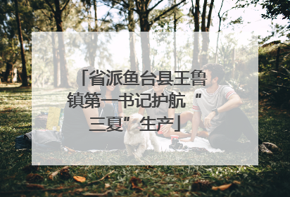 省派鱼台县王鲁镇第一书记护航“三夏”生产