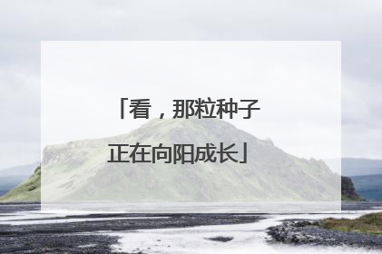 看，那粒种子正在向阳成长