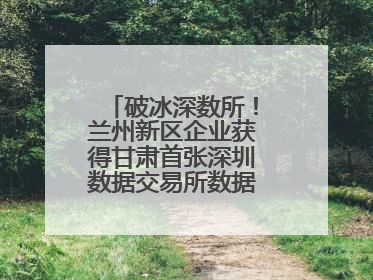 破冰深数所！兰州新区企业获得甘肃首张深圳数据交易所数据产权登记证书