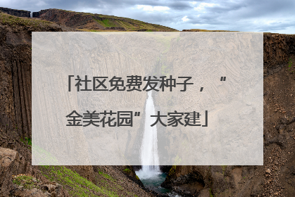 社区免费发种子，“金美花园”大家建