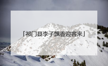 祁门县李子飘香迎客来