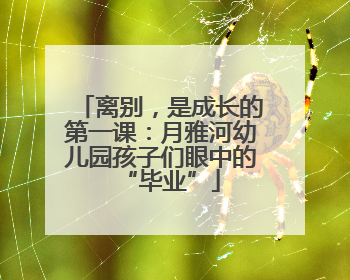 离别，是成长的第一课：月雅河幼儿园孩子们眼中的“毕业”