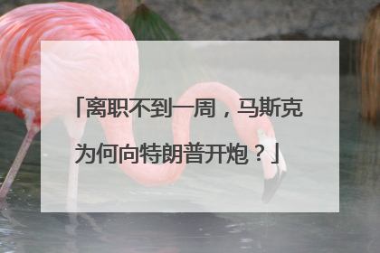 离职不到一周，马斯克为何向特朗普开炮？