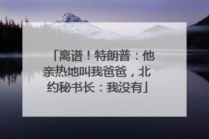 离谱！特朗普：他亲热地叫我爸爸，北约秘书长：我没有