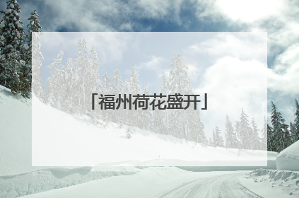 福州荷花盛开