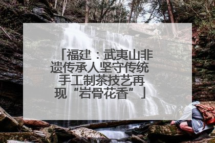 福建：武夷山非遗传承人坚守传统 手工制茶技艺再现“岩骨花香”